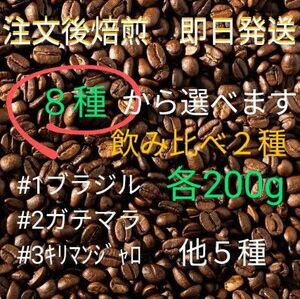 焙煎珈琲豆　選べる飲み比べ２種　各200g　注文後焙煎　合計400g