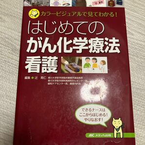 はじめてのがん化学療法看護　カラービジュアルで見てわかる！ 辻晃仁／編集