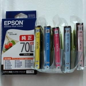 【送料無料】EPSON 純正プリンターインク IC6CL70L相当 増量 未使用品/エプソン/新品/ICBK70LICC70L ICM70LICY70LICLC70LICLM70L