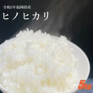 ヒノヒカリ 5kg 白米 5年産 お米