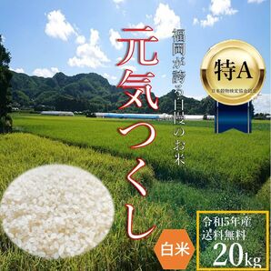 元気つくし 20kg 白米 5年産 お米