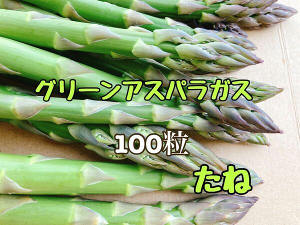 アスパラ 野菜の種 100粒