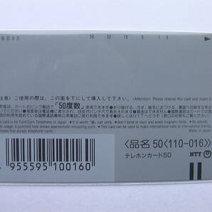 【テレカ】新世紀エヴァンゲリオン 未使用 綾波育成計画 綾波レイ（金）の画像3