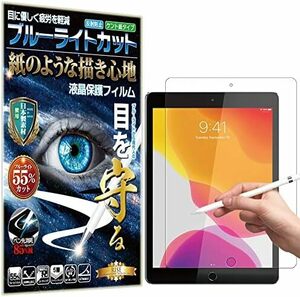 RISE フィルム ペーパー 紙 テクスチャ ブルーライトカット iPad 10.2 iPad 第9世代 2021 / iPa
