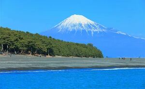 フリー画像 風景 山 即決 1円