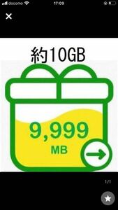 mineoパケットギフトコード　10gb