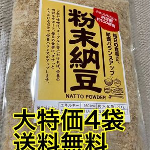 粉末納豆　40g 4袋　粉納豆　ナットウキナーゼ