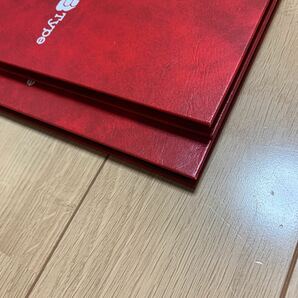 ストックブック Stamp Album BType テージーSB-30 スタンプアルバム 赤2冊まとめ ケース付き 縦約26.8cm横約20cm 台紙8枚16ページ6段の画像5