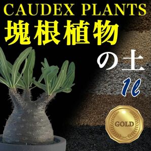 塊根植物の土Gold1㍑培養土　パキポディウム・アデニウム等　グラキリス