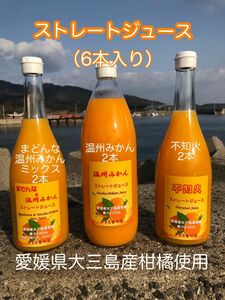 愛媛県大三島産 柑橘ストレートジュース 100% 6本セット