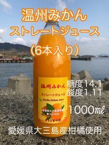 愛媛県大三島産 温州みかんストレートジュース 100% 6本セット