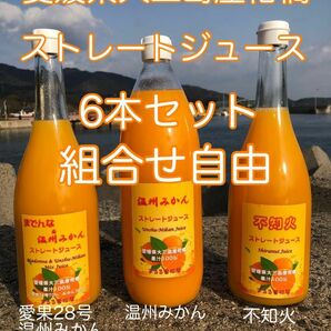 【組合せ自由】愛媛県大三島産 柑橘ストレートジュース 100% 6本セット