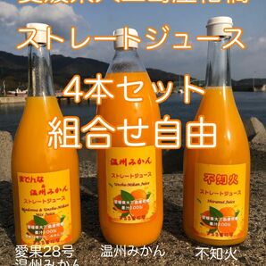 【組合せ自由】愛媛県大三島産 柑橘ストレートジュース 100% 4本セット