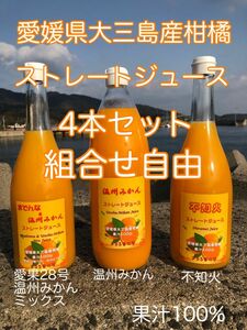 【組合せ自由】愛媛県大三島産 柑橘ストレートジュース 100% 4本セット