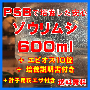 ★送料無料★PSBで培養したゾウリムシ種水600ml＋エビオス10錠＋培養説明書＋針子用粉エサ。