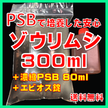 PSBで培養した安心ゾウリムシ