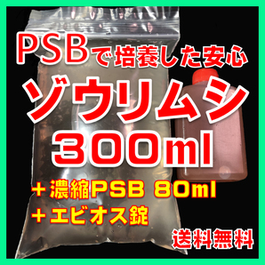 ★送料無料★PSBで培養したゾウリムシ種水300ml＋濃縮PSB80ml＋エビオス30錠＋培養説明書 メダカの針子、稚魚、幼魚、越冬中にも安心。の画像1