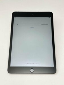 3011【動作確認済】 iPad mini3 64GB Wi-Fi スペースグレイ