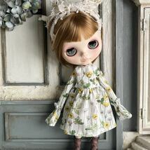 ブライスさんのお洋服 アウトフィット 洋服 Blythe ブライス サイズ outfit リカちゃん　22センチドール 1212 リバティ_画像1