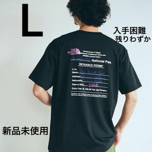 THE NORTH FACE BACK GRAPHIC PRINT 新作　ノースフェイス　Tシャツ　グラフィック　バックプリント