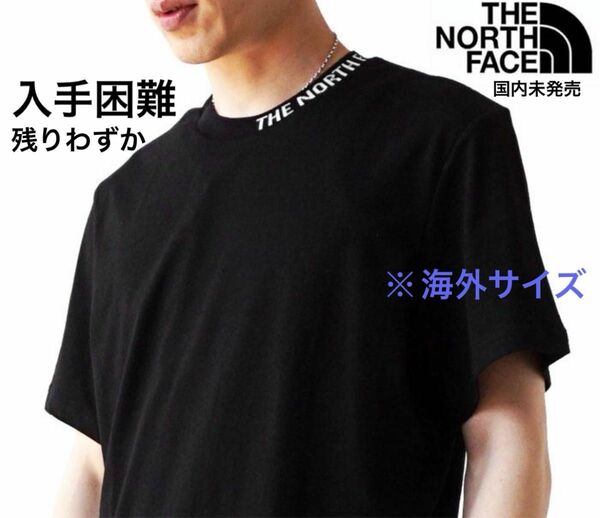 【国内未発売】ノースフェイス Tシャツ 半袖 首元ロゴ ネックロゴ THE NORTH FACE　　　※海外サイズ 要サイズ指定