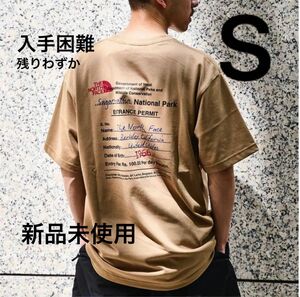 THE NORTH FACE BACK GRAPHIC PRINT 新作　ノースフェイス　Tシャツ　グラフィック　バックプリント