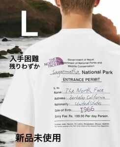 THE NORTH FACE BACK GRAPHIC PRINT 新作　ノースフェイス　Tシャツ　グラフィック　バックプリント