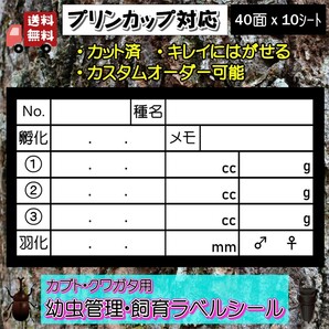 【カブクワ】幼虫管理・飼育ラベルシール 10シート カブトムシ クワガタ 菌糸ボトル、ケース用の画像1