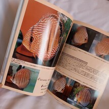 ディスカス イヤーブック　DISCUS YEAR BOOK 97-98_画像3