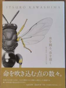 §虫を観る、虫を描く§標本画家　川島逸郎の仕事