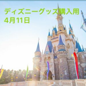 ディズニーランド　グッズ購入用　4月11日 