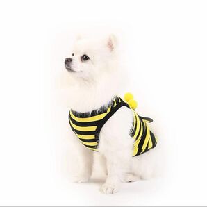 【1点のみ】わんちゃん衣装　犬　コスチューム　コスプレ　ハチ　ハチさん　新品 チワワ　小型犬　服