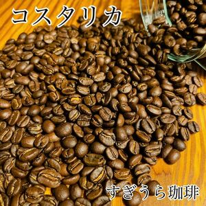 コスタリカ ラ・カンデリージャ フリーウォッシュド 200g 自家焙煎 コーヒー豆 珈琲