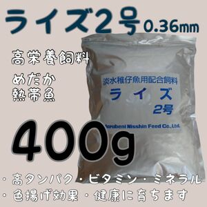 高栄養飼料 メダカ餌 ライズ2号 400g アクアリウム 熱帯魚 グッピー 金魚