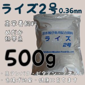 高栄養飼料 メダカ餌 ライズ2号 500g アクアリウム 熱帯魚 グッピー 金魚