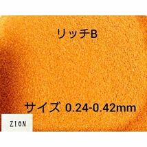 高栄養飼料 メダカ餌 リッチB 4kg アクアリウム メダカ 熱帯魚_画像2