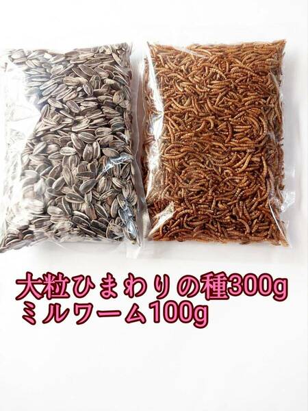 大粒ひまわりの種300g ミルワーム100g 小動物 ハムスター ハリネズミ