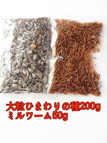 大粒ひまわりの種200g ミルワーム50g 小動物 ハムスター ハリネズミ