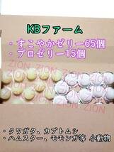 KBファーム すこやかゼリー16g 65個 プロゼリー16g 15個 クワガタ カブトムシ 小動物 ハムスター モモンガ ハリネズミ 昆虫ゼリー_画像1