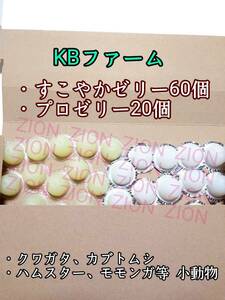 KBファーム すこやかゼリー16g 60個 プロゼリー16g 20個 クワガタ カブトムシ 小動物 ハムスター モモンガ ハリネズミ 昆虫ゼリー