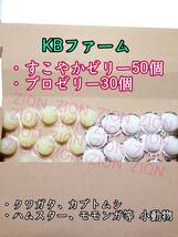 KBファーム すこやかゼリー16g 50個 プロゼリー16g 30個 クワガタ カブトムシ 小動物 ハムスター モモンガ ハリネズミ 昆虫ゼリー_画像1