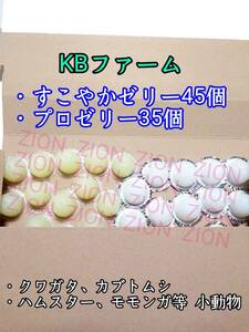 KB farm .... jelly 16g 45 piece Pro jelly 16g 35 piece stag beetle rhinoceros beetle small animals hamster Momo nga hedgehog insect jelly 