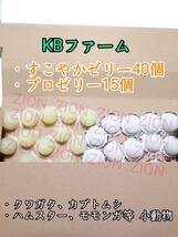 KBファーム すこやかゼリー16g 40個 プロゼリー16g 15個 クワガタ カブトムシ 小動物 ハムスター モモンガ ハリネズミ 昆虫ゼリー_画像1