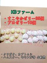 KBファーム すこやかゼリー16g 35個 プロゼリー16g 10個 クワガタ カブトムシ 小動物 ハムスター モモンガ ハリネズミ 昆虫ゼリー_画像1