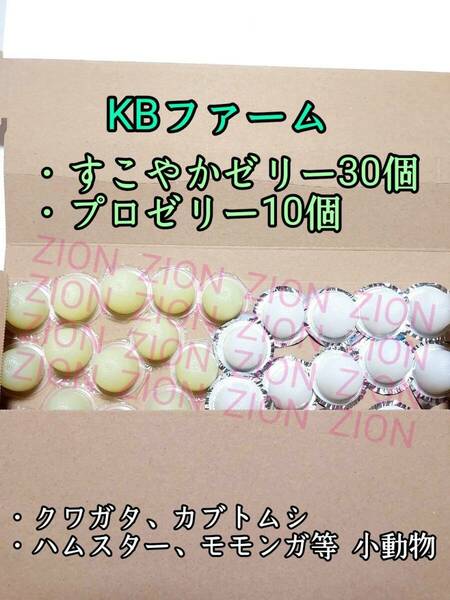 KBファーム すこやかゼリー16g 30個 プロゼリー16g 10個 クワガタ カブトムシ 小動物 ハムスター モモンガ ハリネズミ 昆虫ゼリー