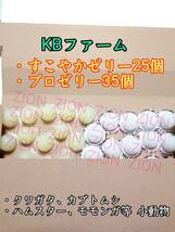 KBファーム すこやかゼリー16g 25個 プロゼリー16g 35個 クワガタ カブトムシ 小動物 ハムスター モモンガ ハリネズミ 昆虫ゼリー_画像1