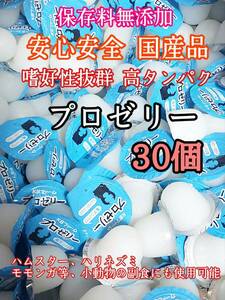 ... eminent domestic production insect jelly height protein Pro jelly 16g 30 piece stag beetle rhinoceros beetle small animals hamster Momo nga hedgehog KB farm 