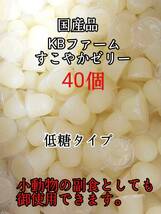 国産 昆虫ゼリー 低糖タイプ すこやかゼリー16g 40個 クワガタ カブトムシ 小動物 ハムスター モモンガ ハリネズミ KBファーム_画像1