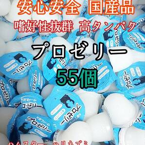 嗜好性抜群 国産 昆虫ゼリー 高タンパク プロゼリー16g 55個 クワガタ カブトムシ 小動物 ハムスター モモンガ ハリネズミ KBファーム