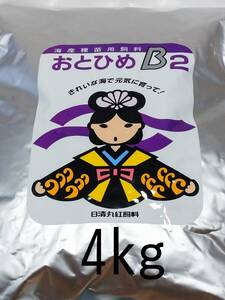 高栄養飼料 メダカ餌 おとひめB2 4㎏ アクアリウム 熱帯魚 金魚 グッピー めだか